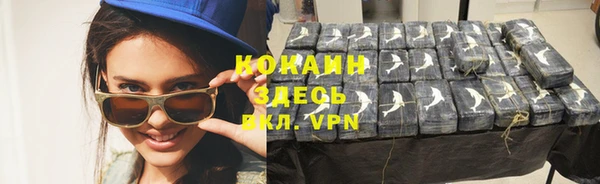 соль ск Алексеевка