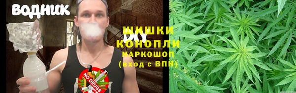 сатива Алексин