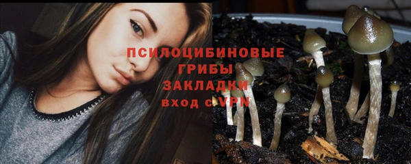 соль ск Алексеевка