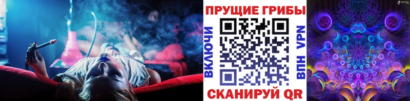 наркошоп KRAKEN ссылки Галлюциногенные грибы мицелий Покров